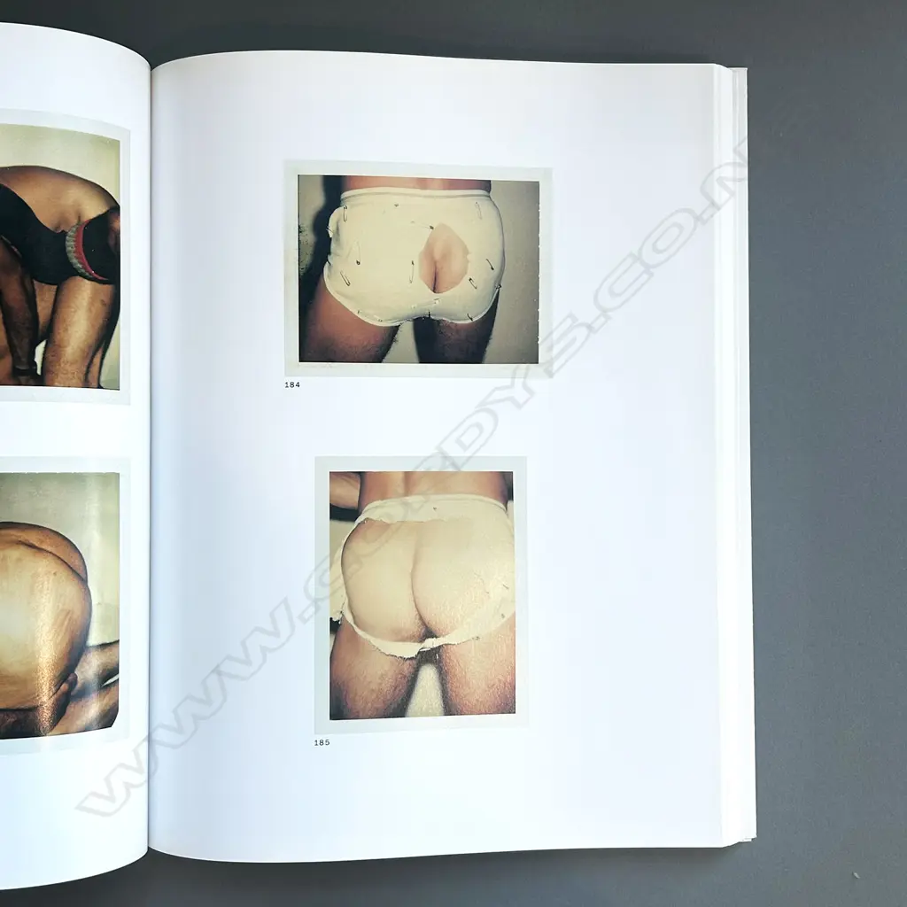 ANDY WARHOL: LADIES & GENTLEMEN SEX PARTS TORSOS POLAROIDS Image 1++